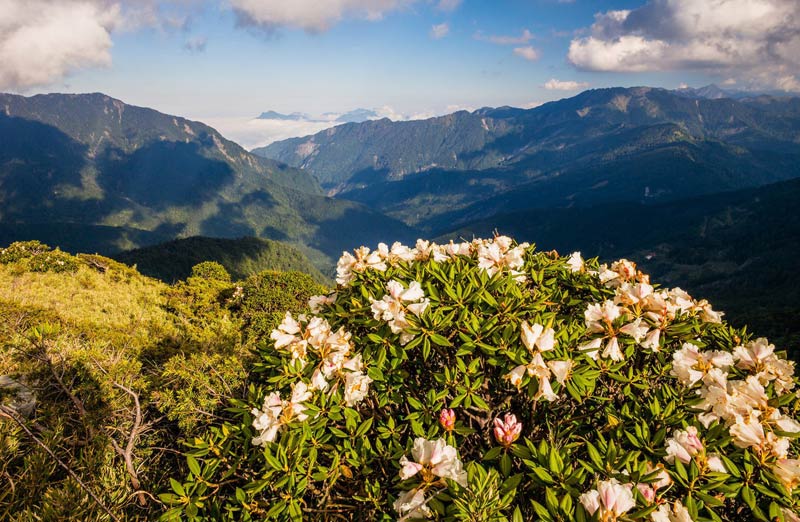 Легенды Самурзакана