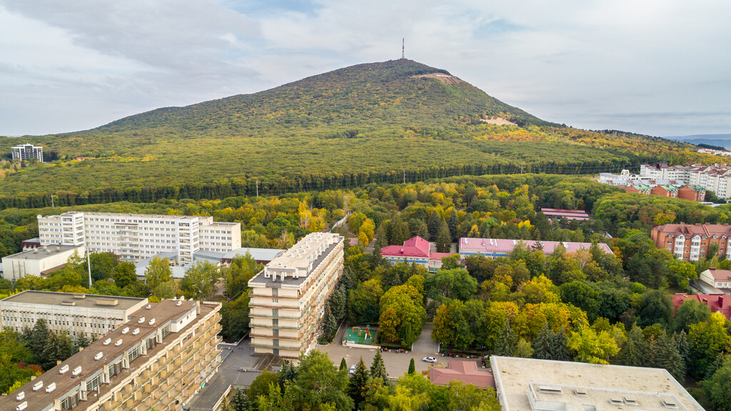 Лесная поляна